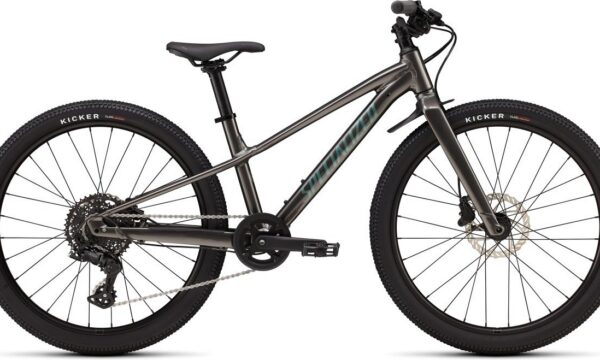 Specialized Riprock 24 Int Smk/fjdmet