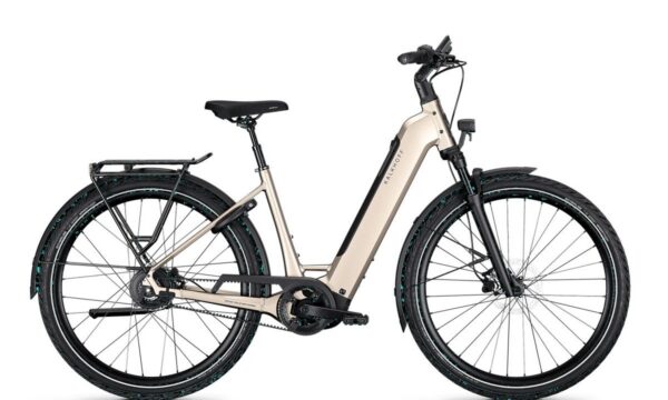 Kalkhoff IMAGE 3 EXCITE 380 Lage instap
